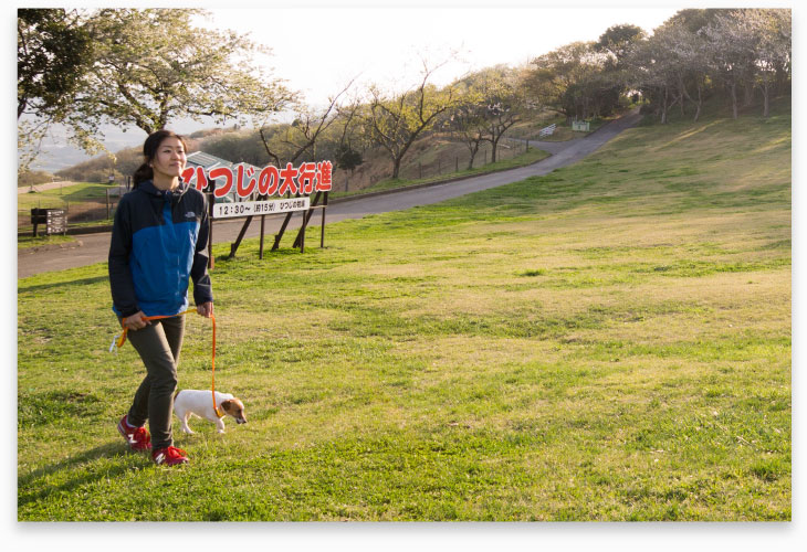 ３０分または１時間コース - 2