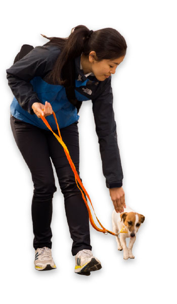 トレーナーのお散歩だから安心！