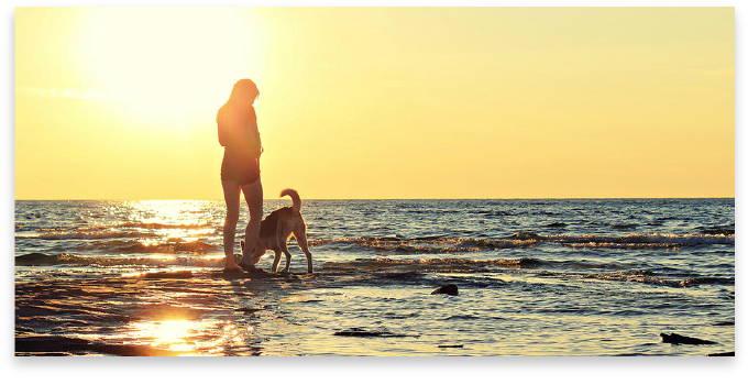 />
			</center>
			
			<div style=