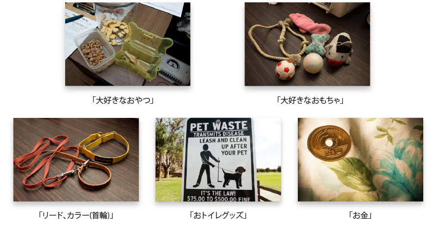 初回訪問時、ご用意いただくもの