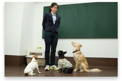 レッスンスタート