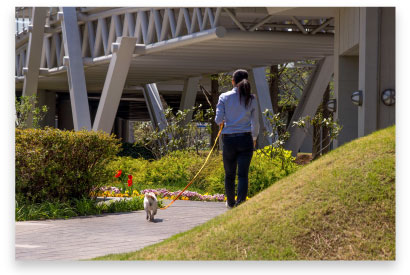 お散歩スタート